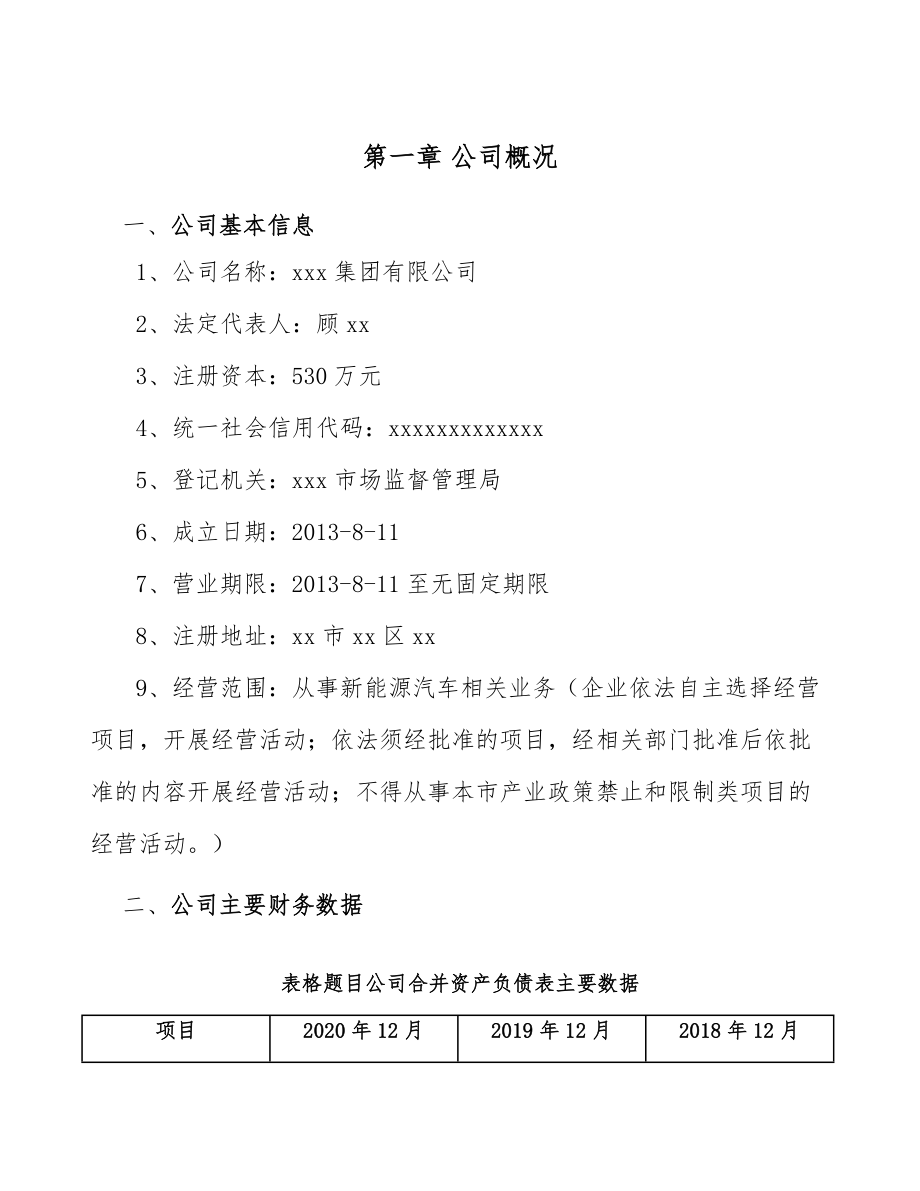 新能源汽车公司团队建设方案(范文).doc