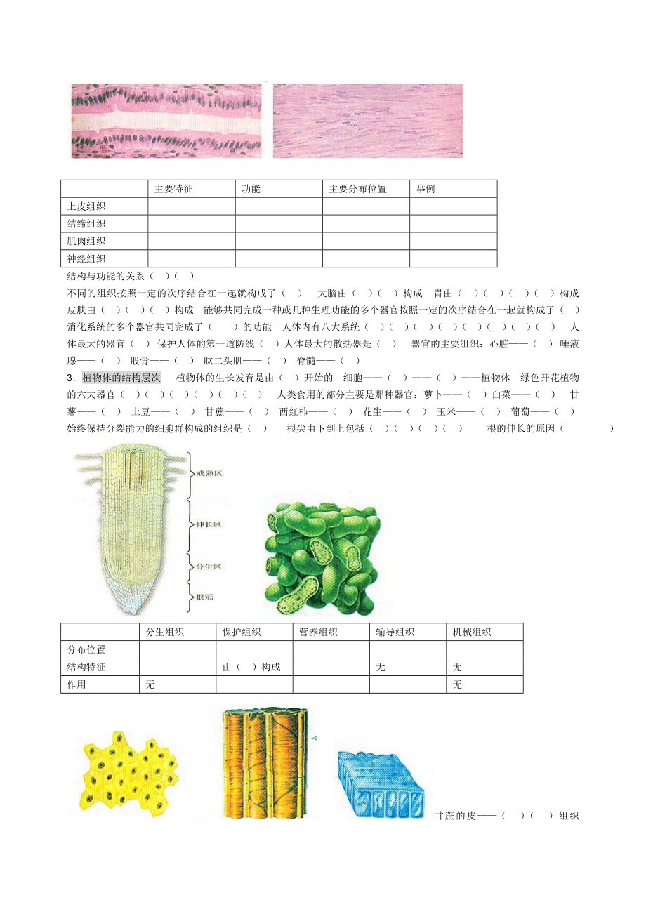 生物初一上册.doc