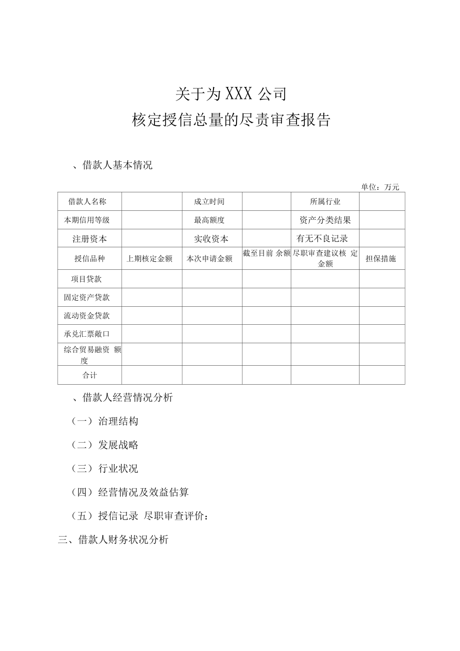 授信审查报告模板.doc