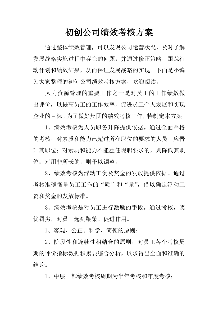 初创公司绩效考核方案.doc