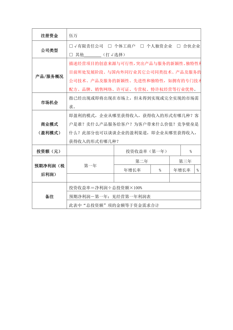 分公司计划书模板.doc