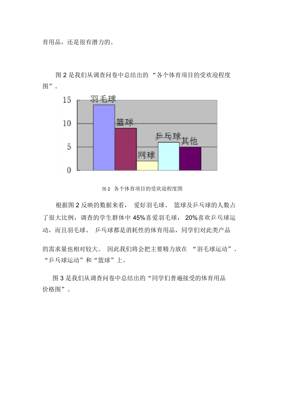 体育用品销售计划创业计划书.doc