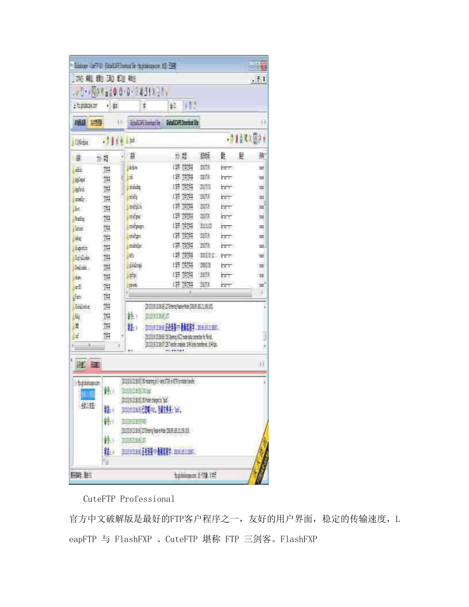 CuteFTPProfessional中文破解版.doc