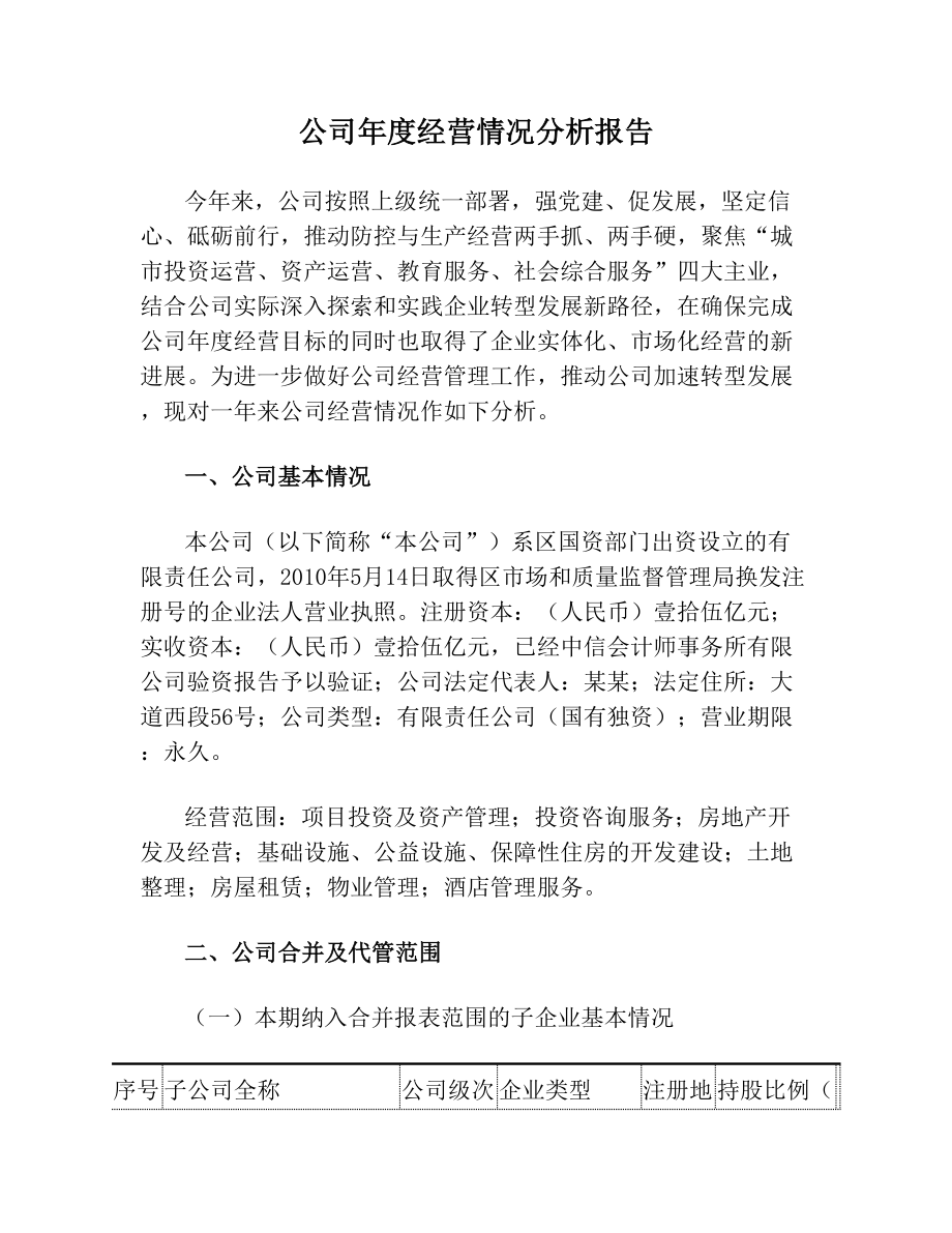 公司年度经营情况分析报告.doc