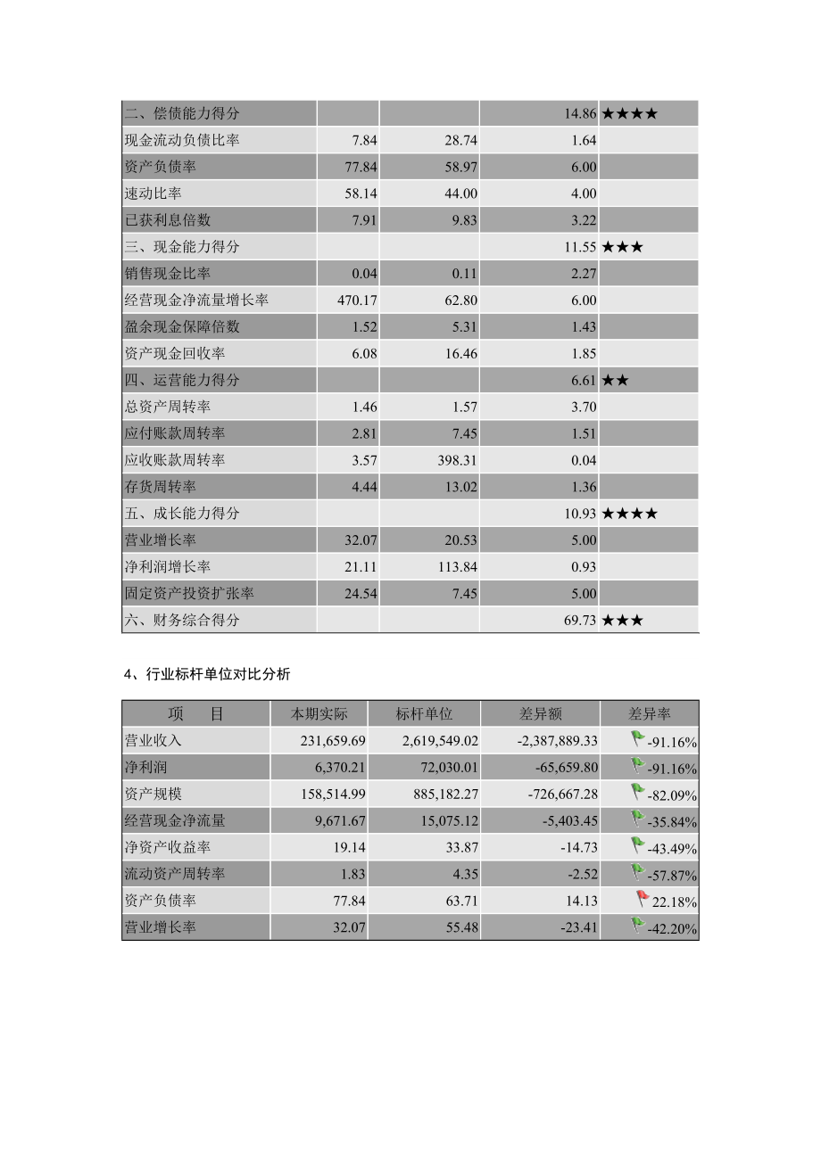 财务分析报告(范本).doc