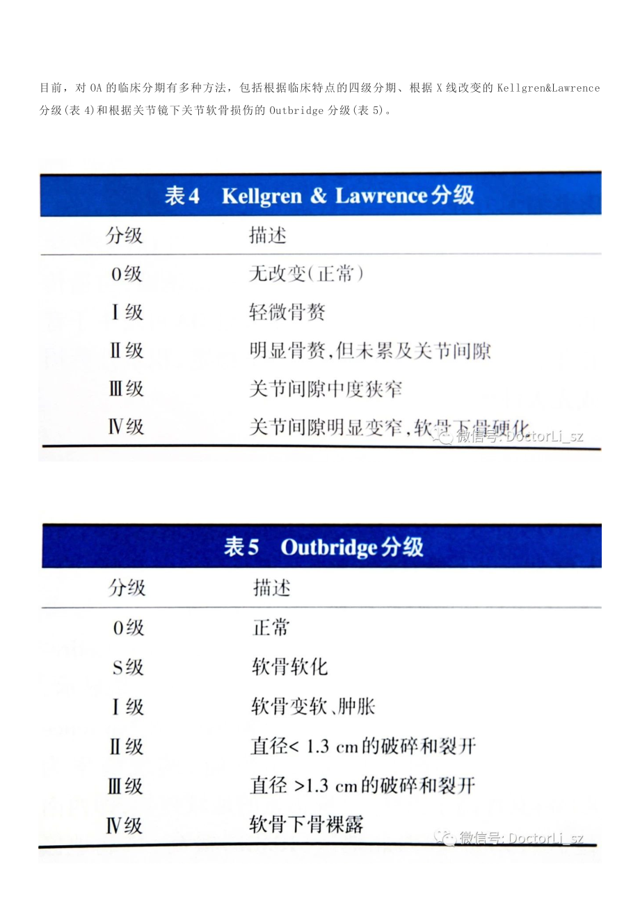 骨关节炎诊疗指南(版).doc