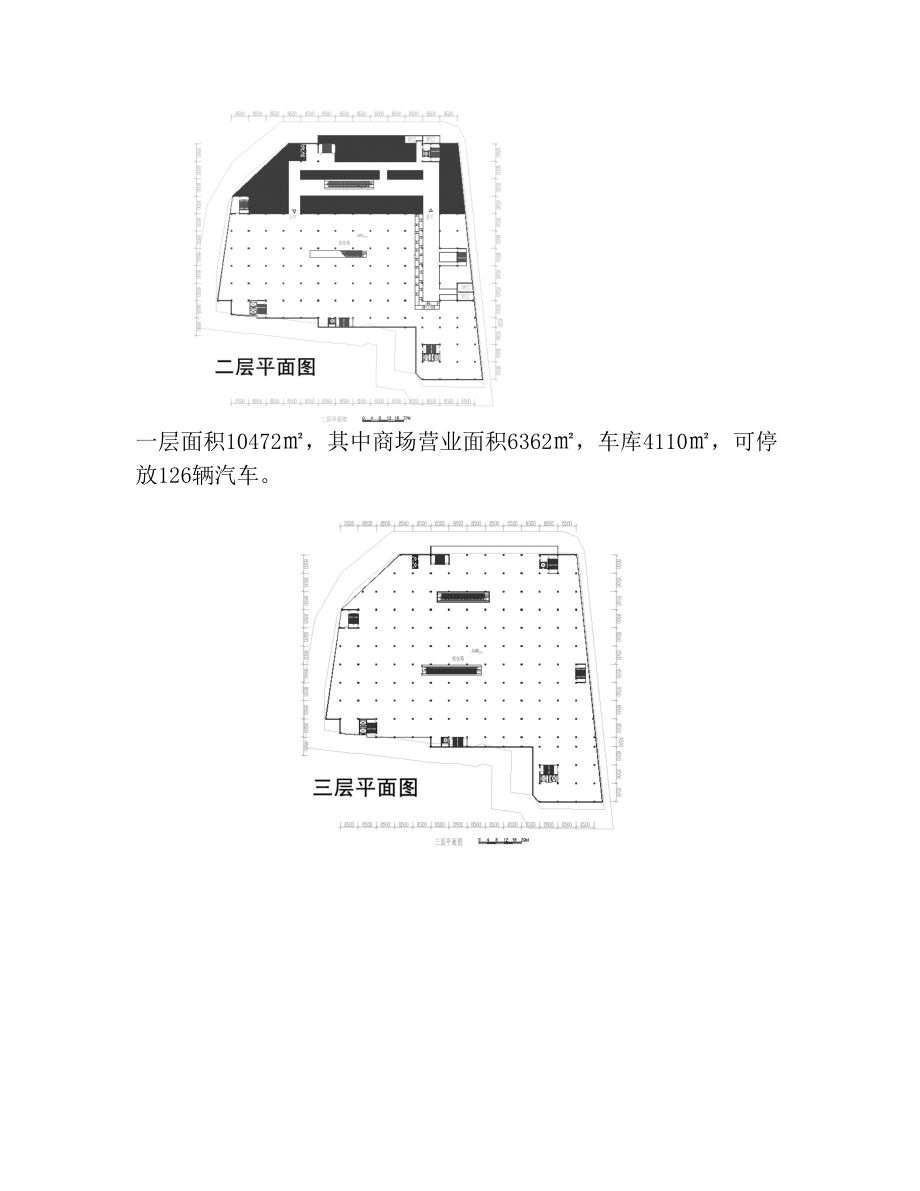 商业项目开发计划书.doc