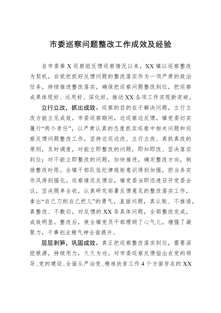 巡察问题整改工作成效及经验总结.doc