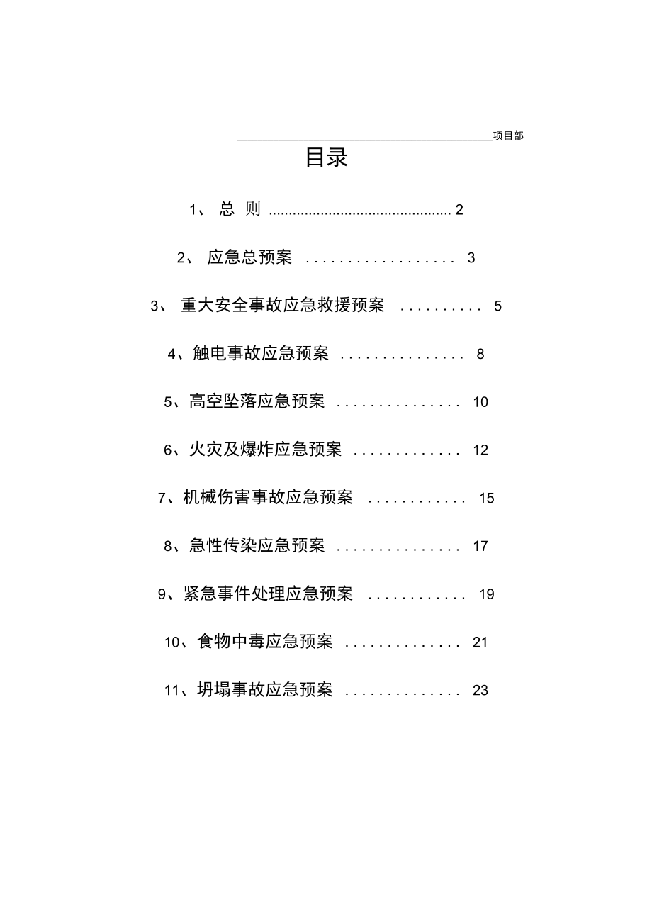 某项目工程应急预案.doc