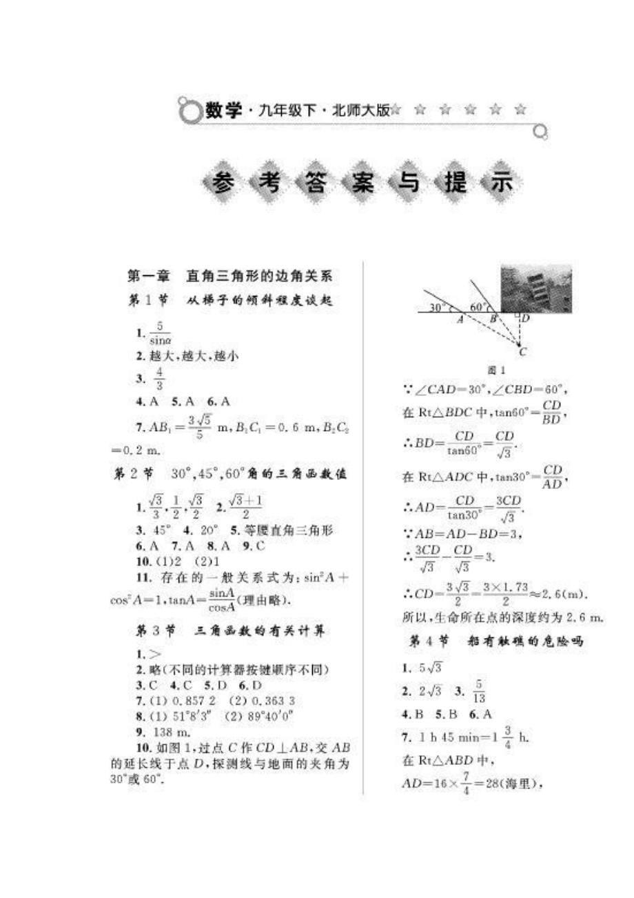 九年级下北师大版数学练习册答案2.doc