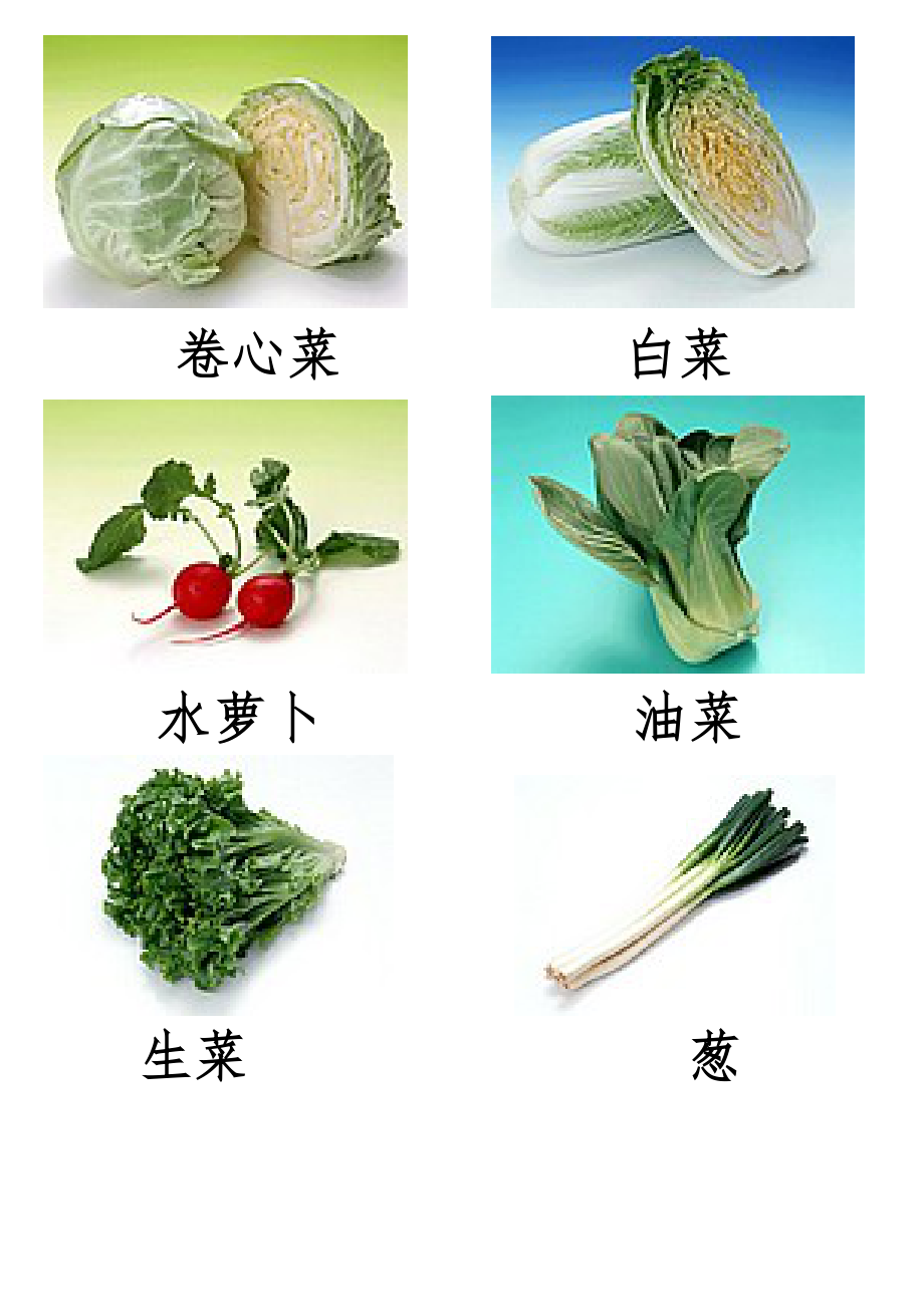 蔬菜类(图片及名称).doc