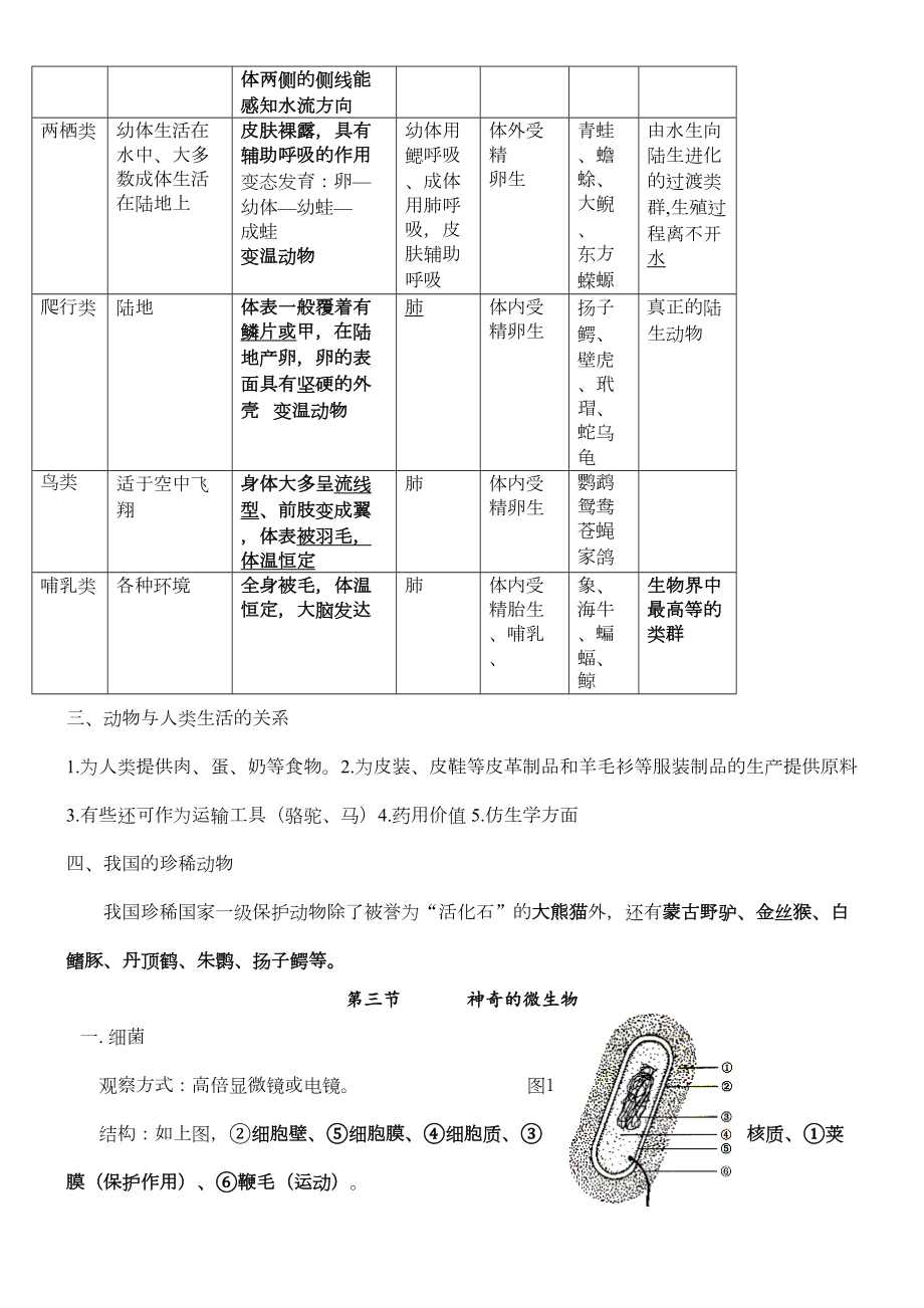 初二生物上册知识点归纳.doc