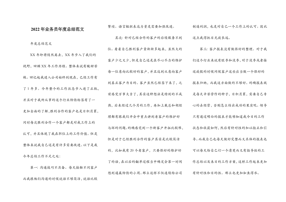 2022年业务员年度总结范文.doc