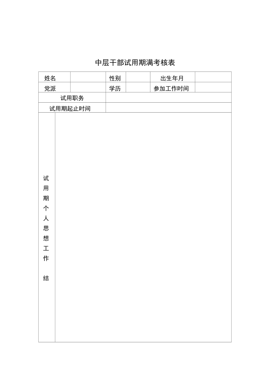 中层干部试用期满考核.doc