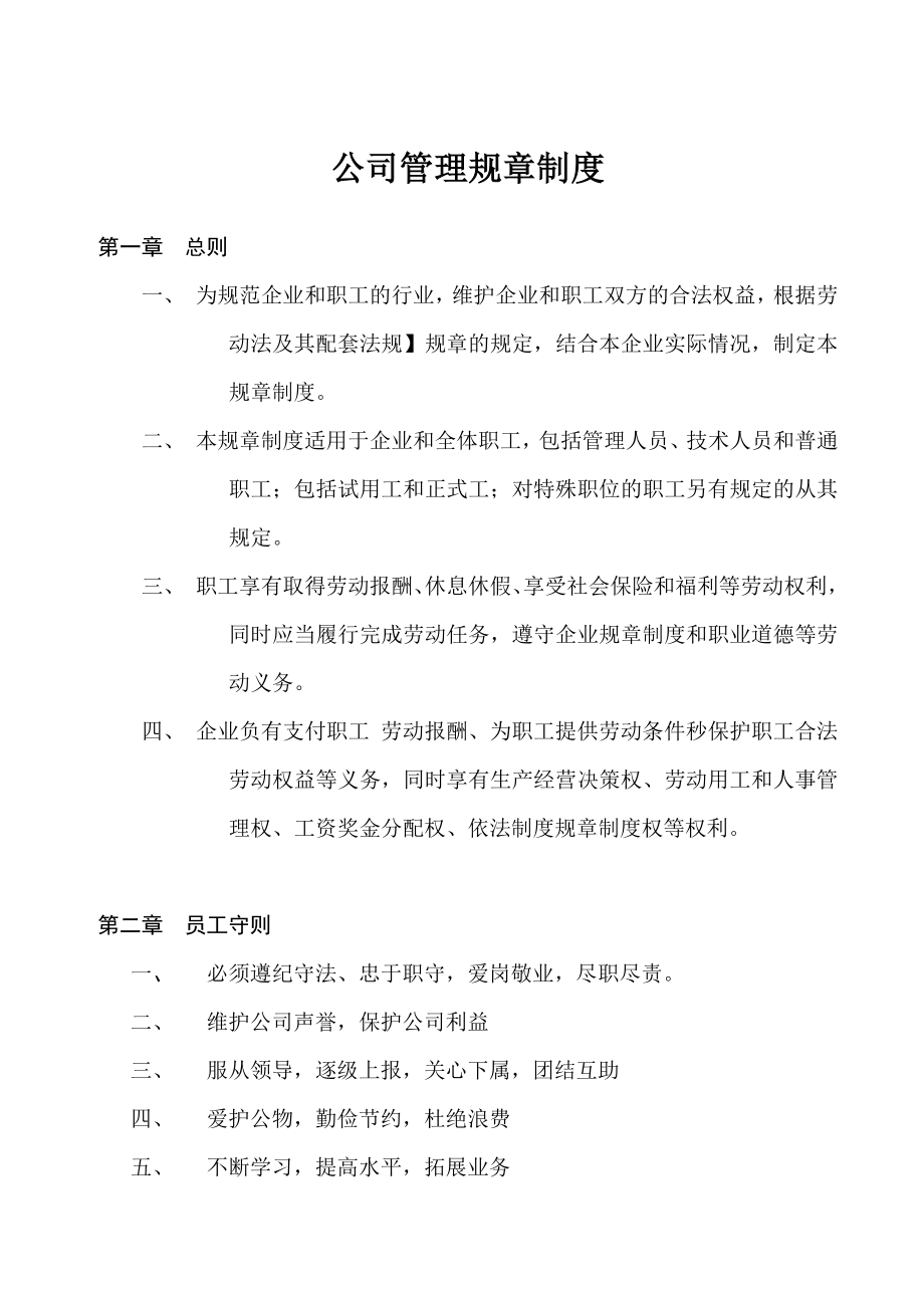 公司管理规章制度(中小企业).doc