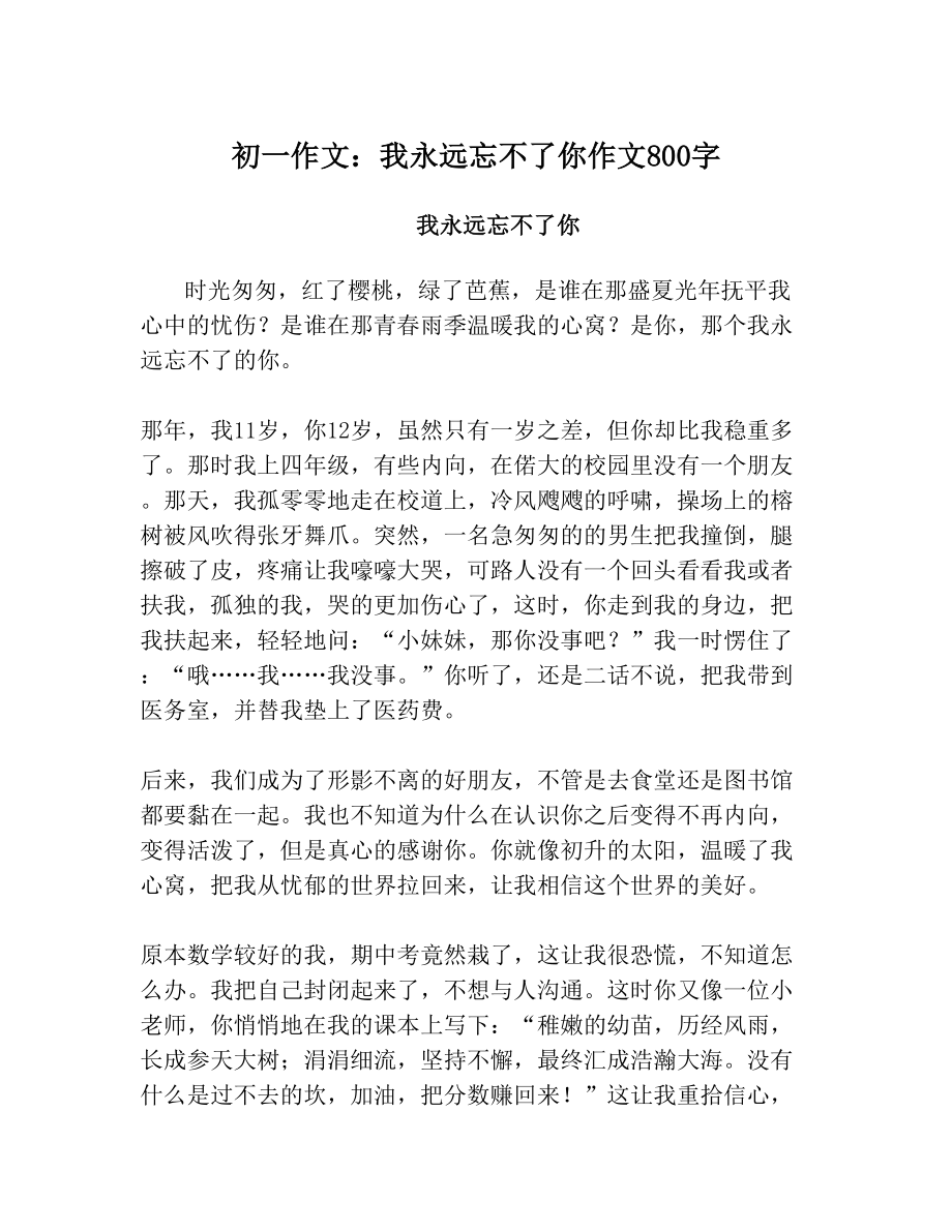 初一作文我永远忘不了你作文800字2.doc