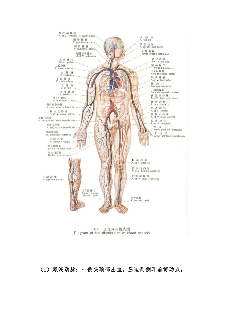 战场救护卫生课.doc