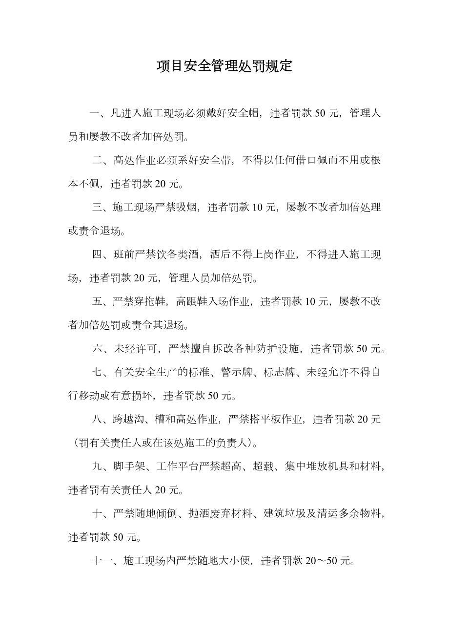 项目安全管理处罚规定.doc