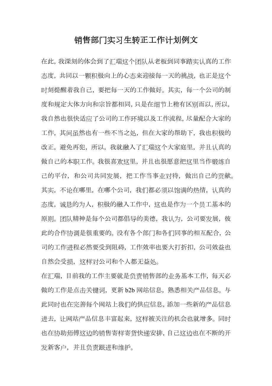 销售部门实习生转正工作计划例文.doc