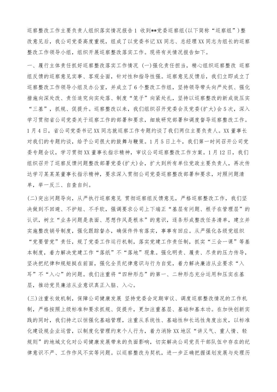 巡察整改工作主要负责人组织落实情况报告.doc