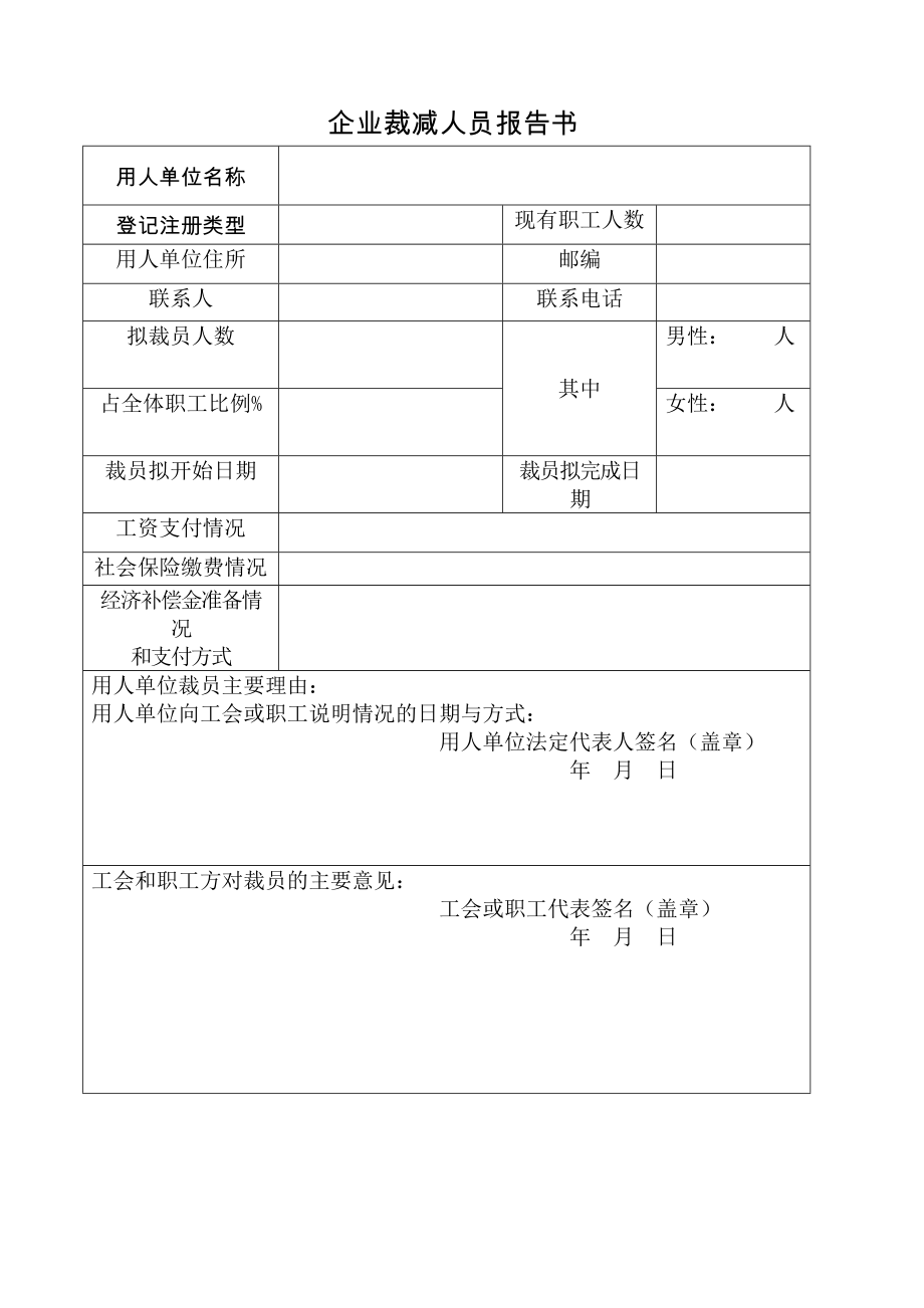 企业裁减人员报告书.doc