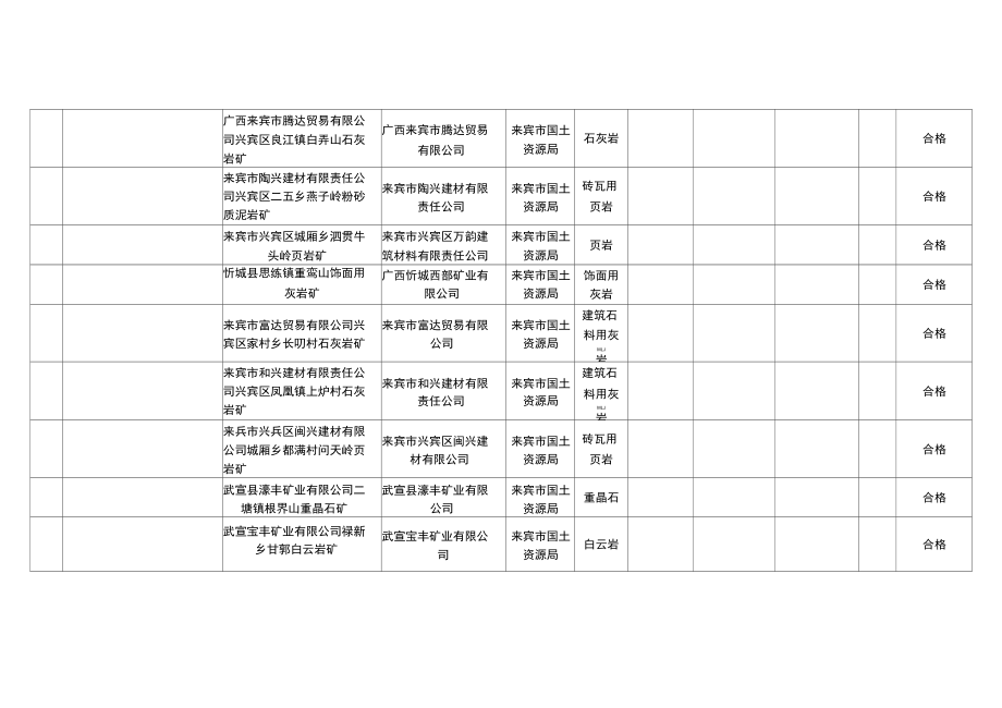 年度矿山年检情况汇总.doc