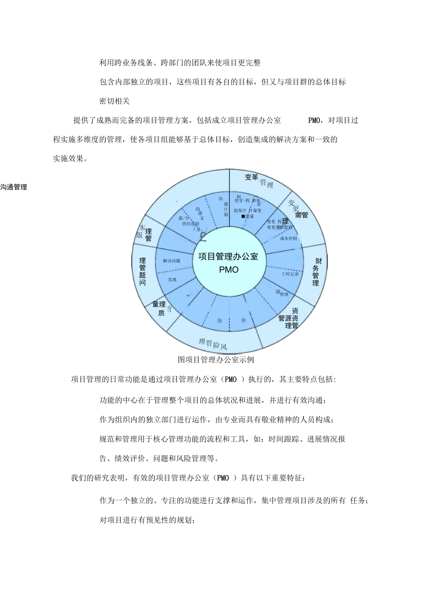 知名外企项目群管理系统方法论.doc