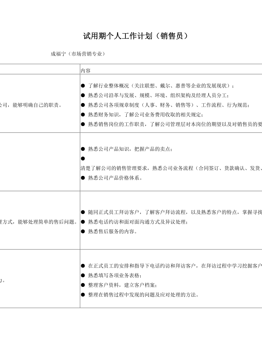 销售员试用期工作计划.doc