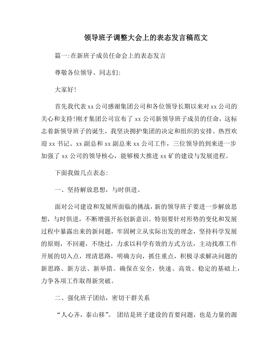 领导班子调整大会上的表态发言稿范文.doc