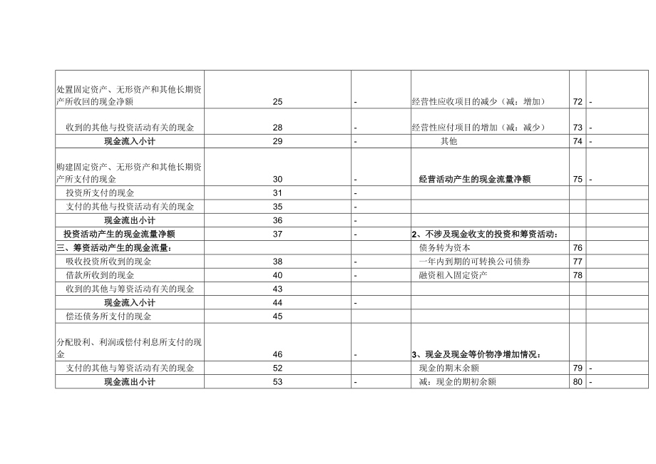 现金流量表样表.doc