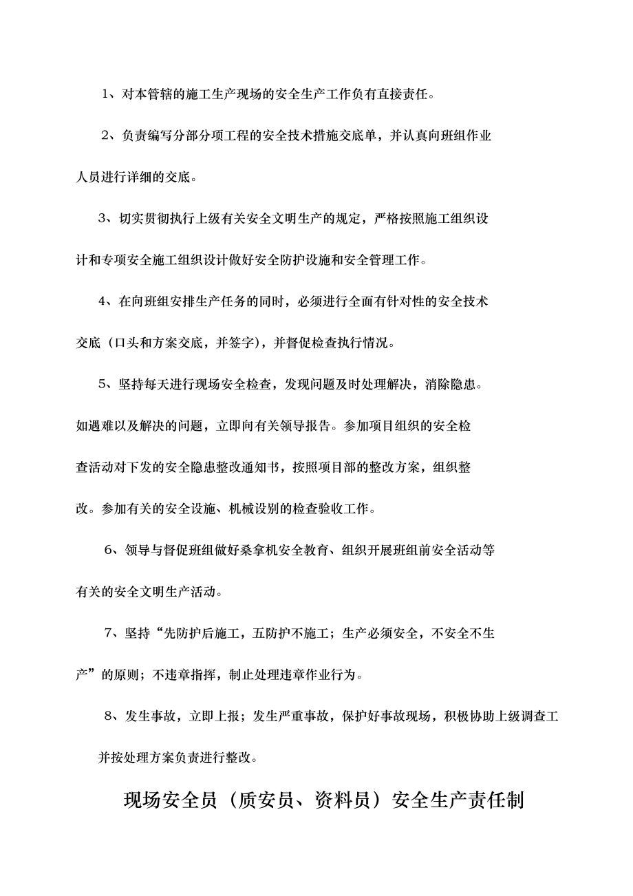 某公司项目经理安全生产责任制(DOC 33页).doc