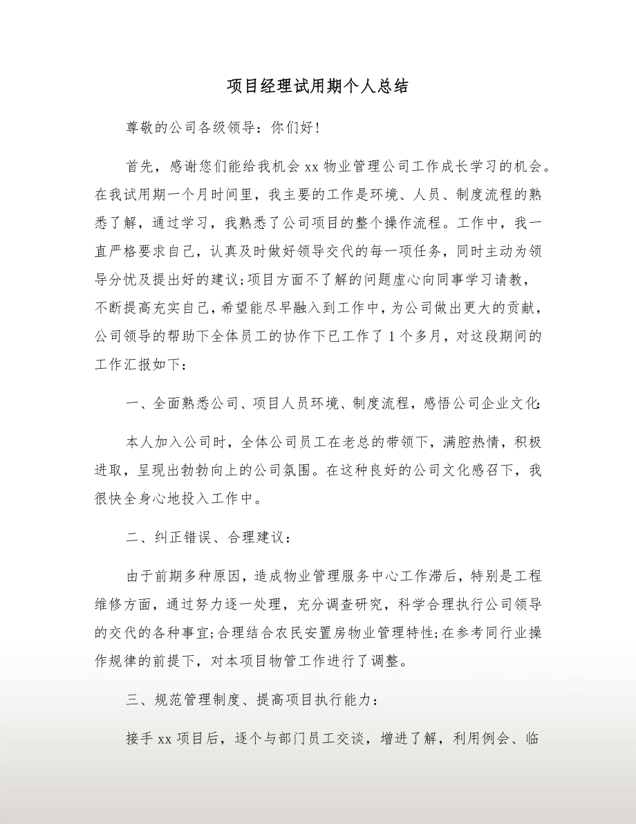 项目经理试用期个人总结.doc