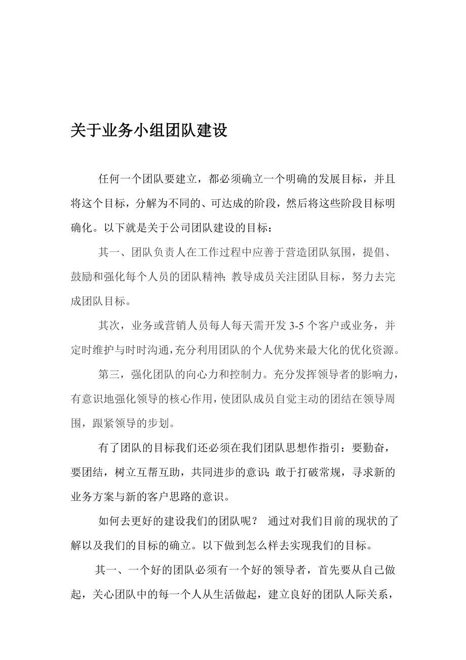 业务小组团队建设方案.doc