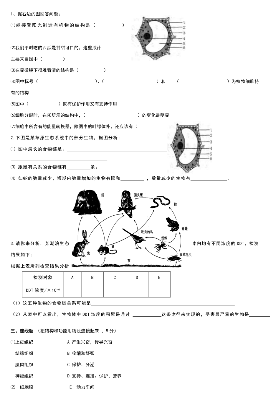 七年级生物上册期末试卷.doc