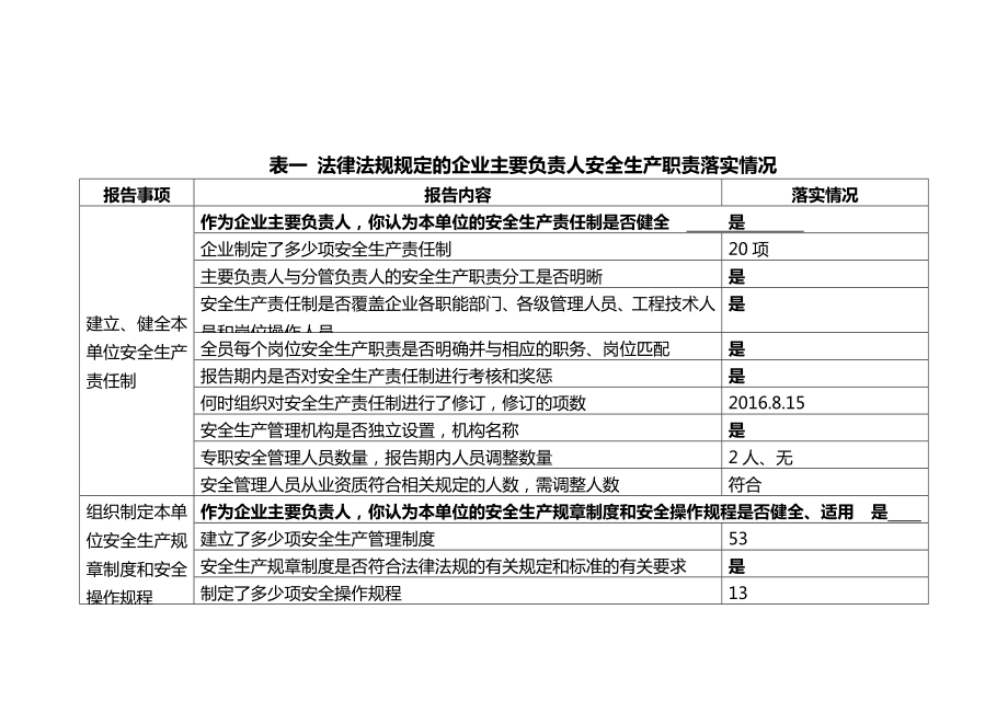 主要负责人安全生产履职情况报告表2.doc