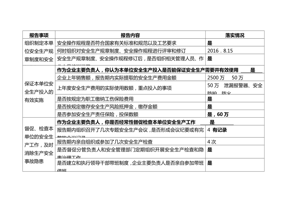 主要负责人安全生产履职情况报告表2.doc