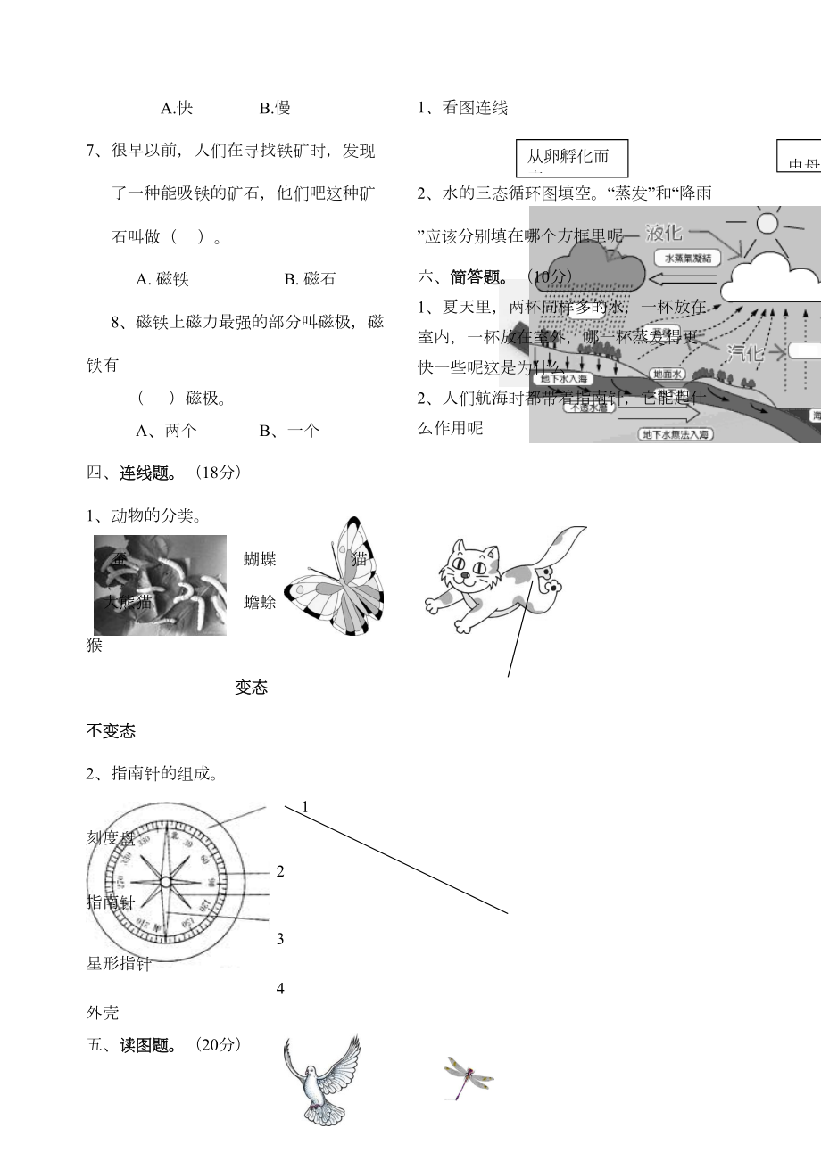 教科版三年级下册科学期末测试卷附答案.doc