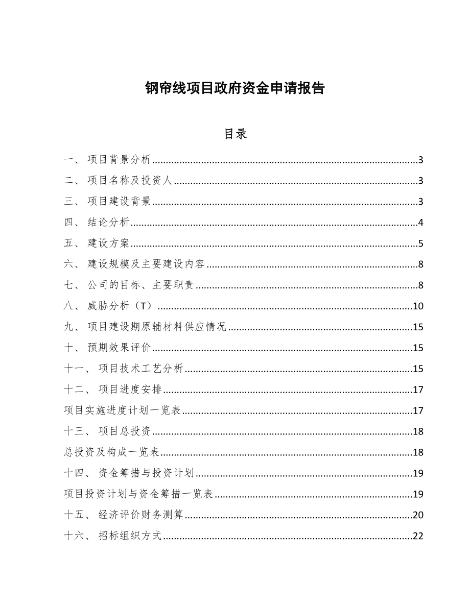 钢帘线项目政府资金申请报告（范文）.doc