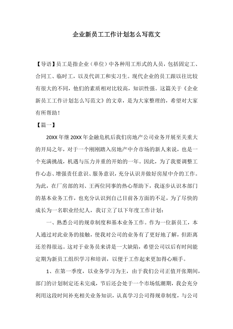 企业新员工工作计划怎么写范文.doc