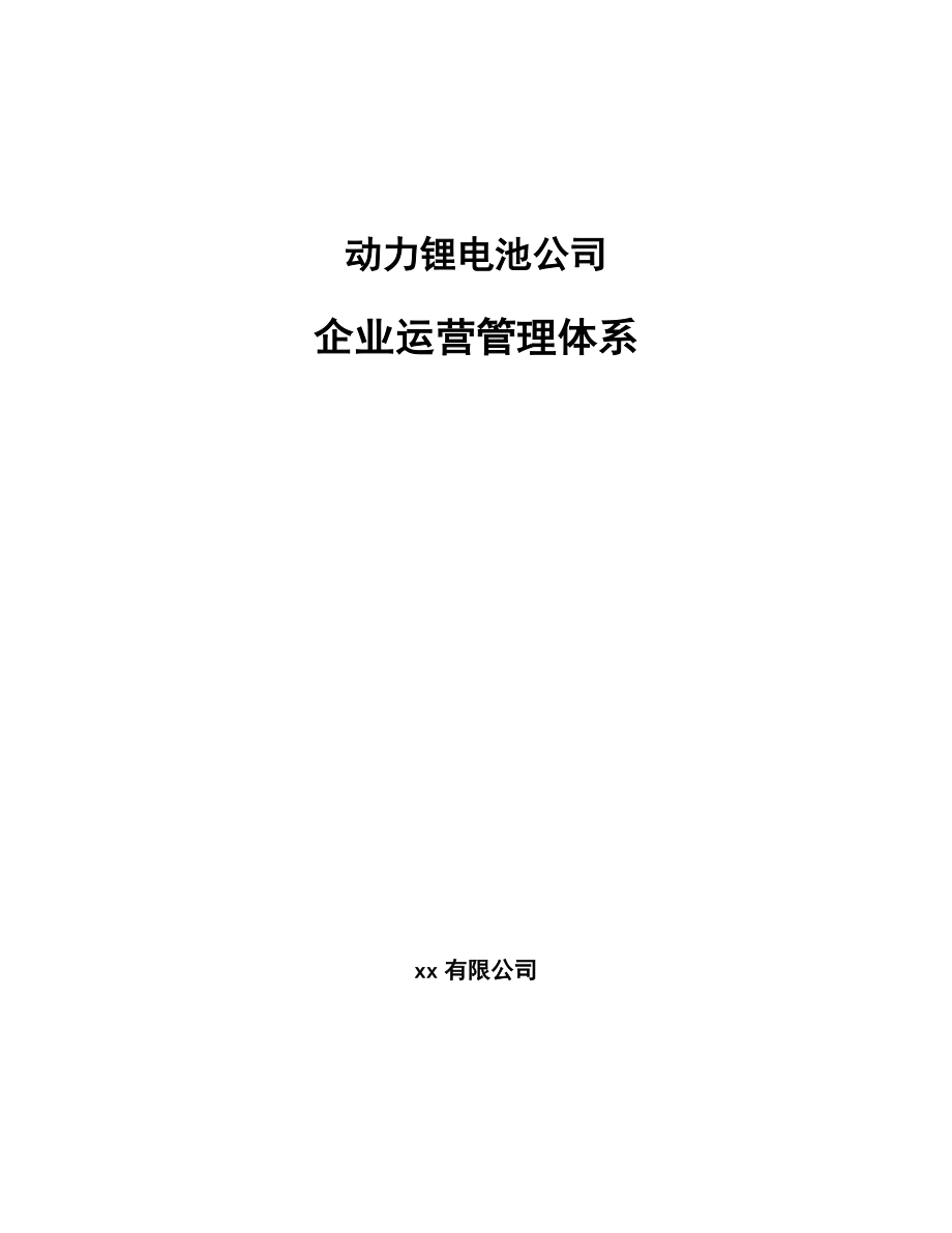 动力锂电池公司企业运营管理体系.doc