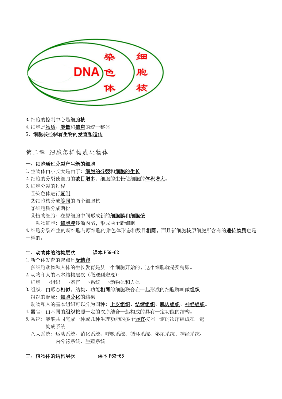 人教版七年级生物上册期末复习知识点汇总.doc