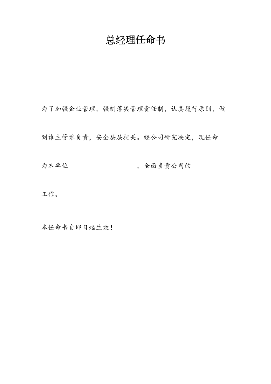 总经理任命书(1).doc