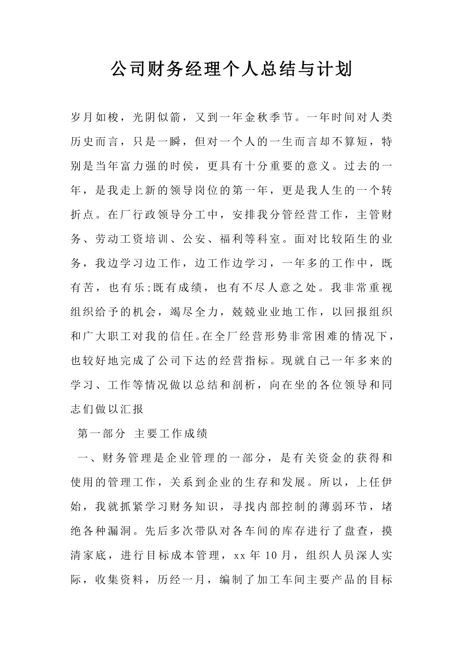 公司财务经理个人总结与计划.doc