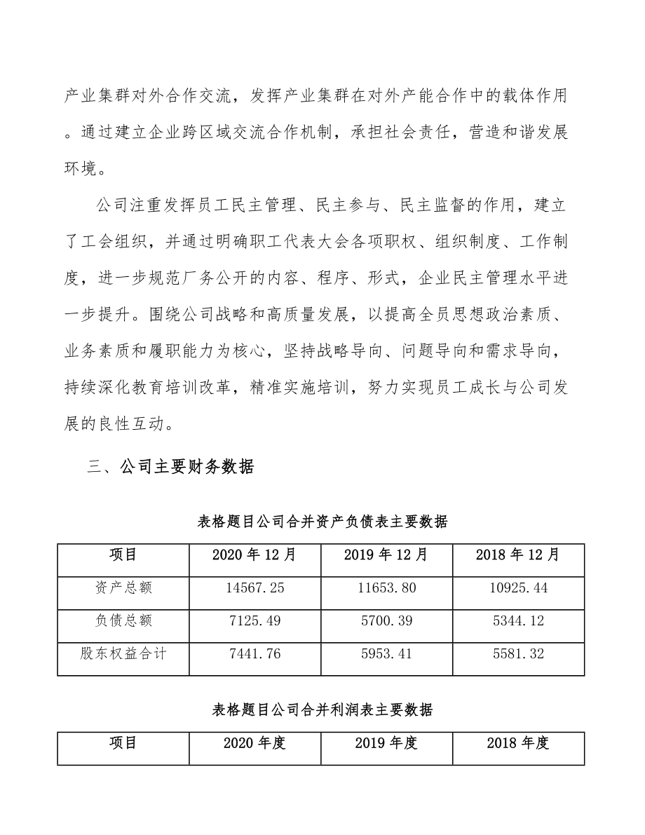 奶酪公司人力资源运营方案.doc