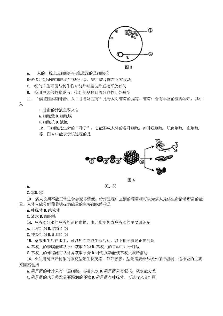 七上生物期终试卷及答案.doc