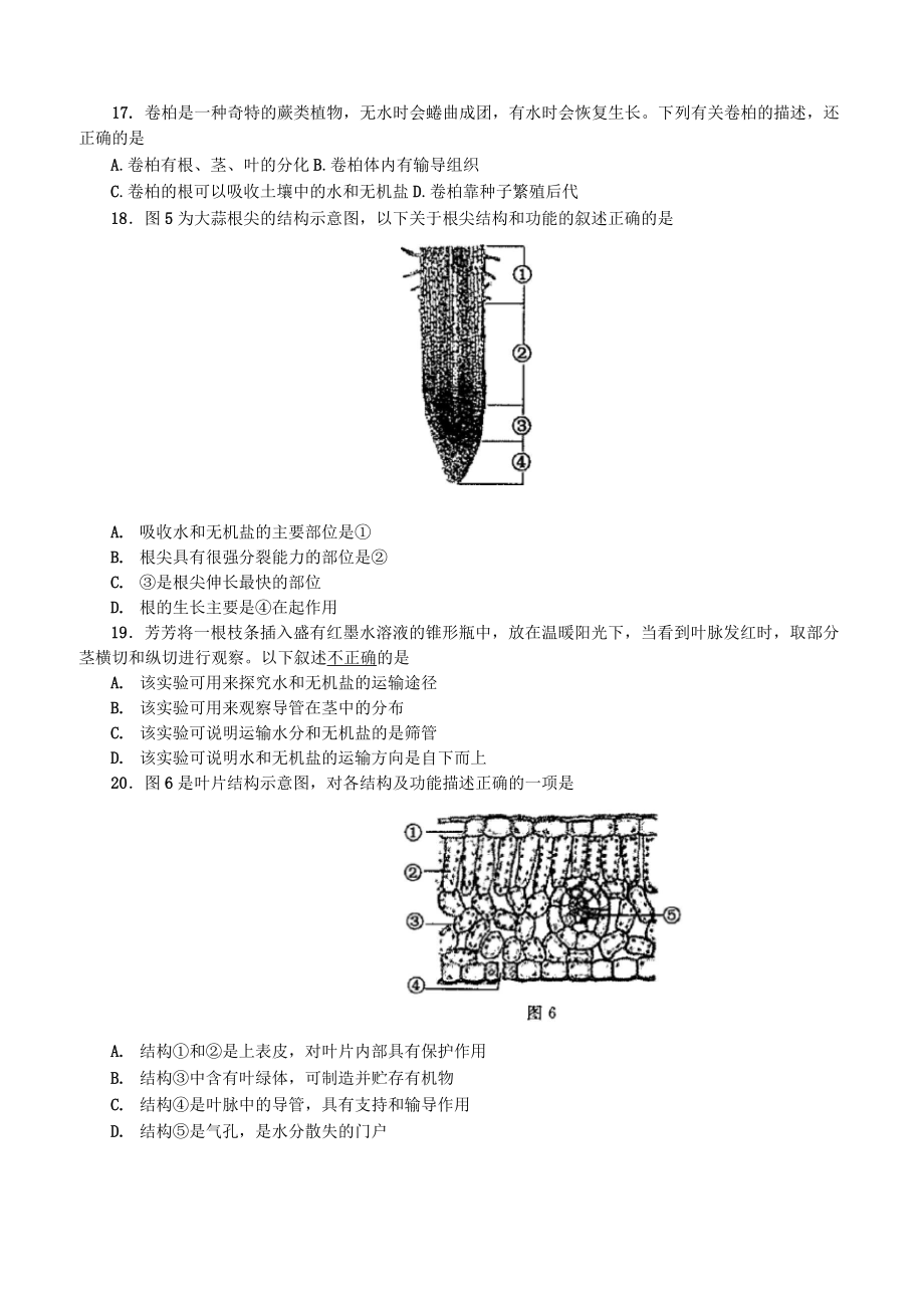 七上生物期终试卷及答案.doc