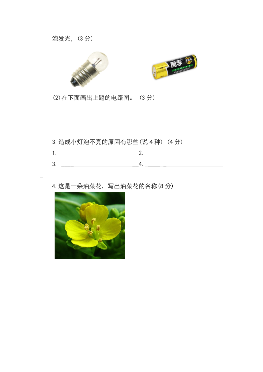 四年级科学期中模拟测试题.doc