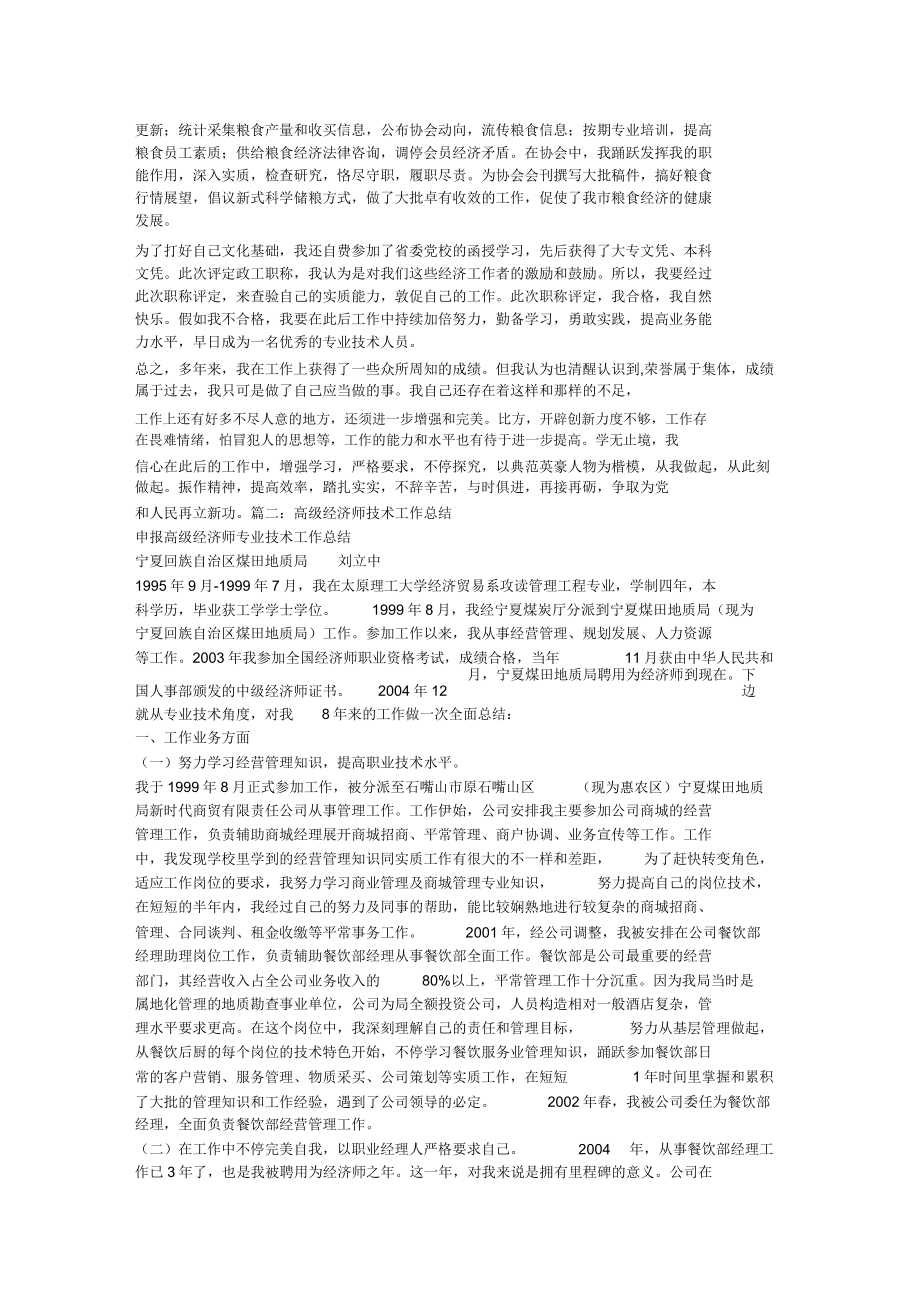 申报高级经济师专业技术工作计划.doc