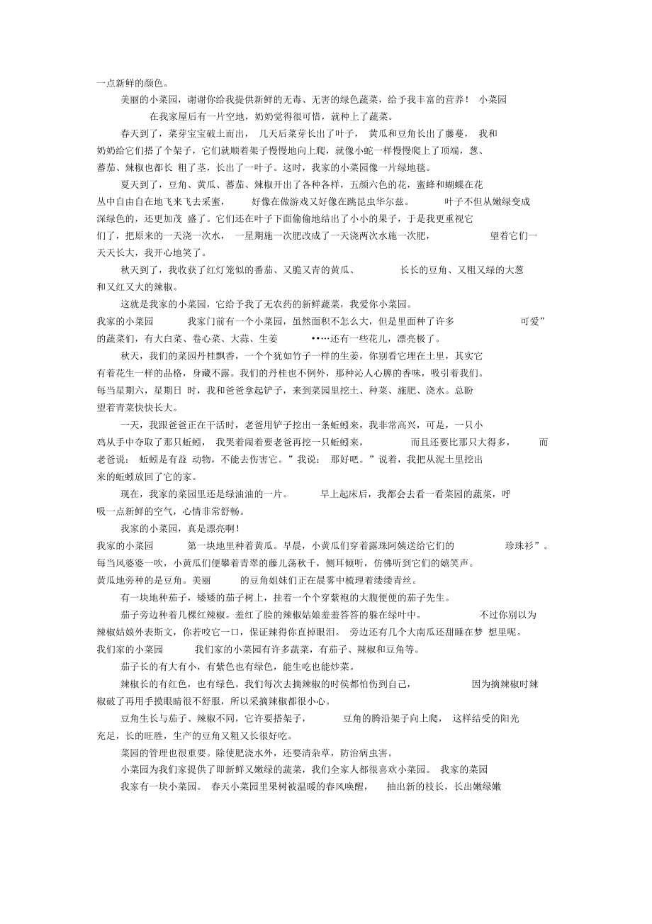 我家的小菜园作文300字美丽的小菜园.doc