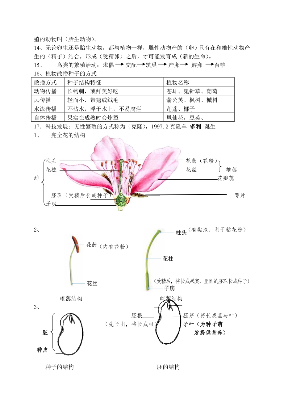 四下科学总复习知识点.doc